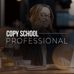 Copy School Professional Annual Freelancer